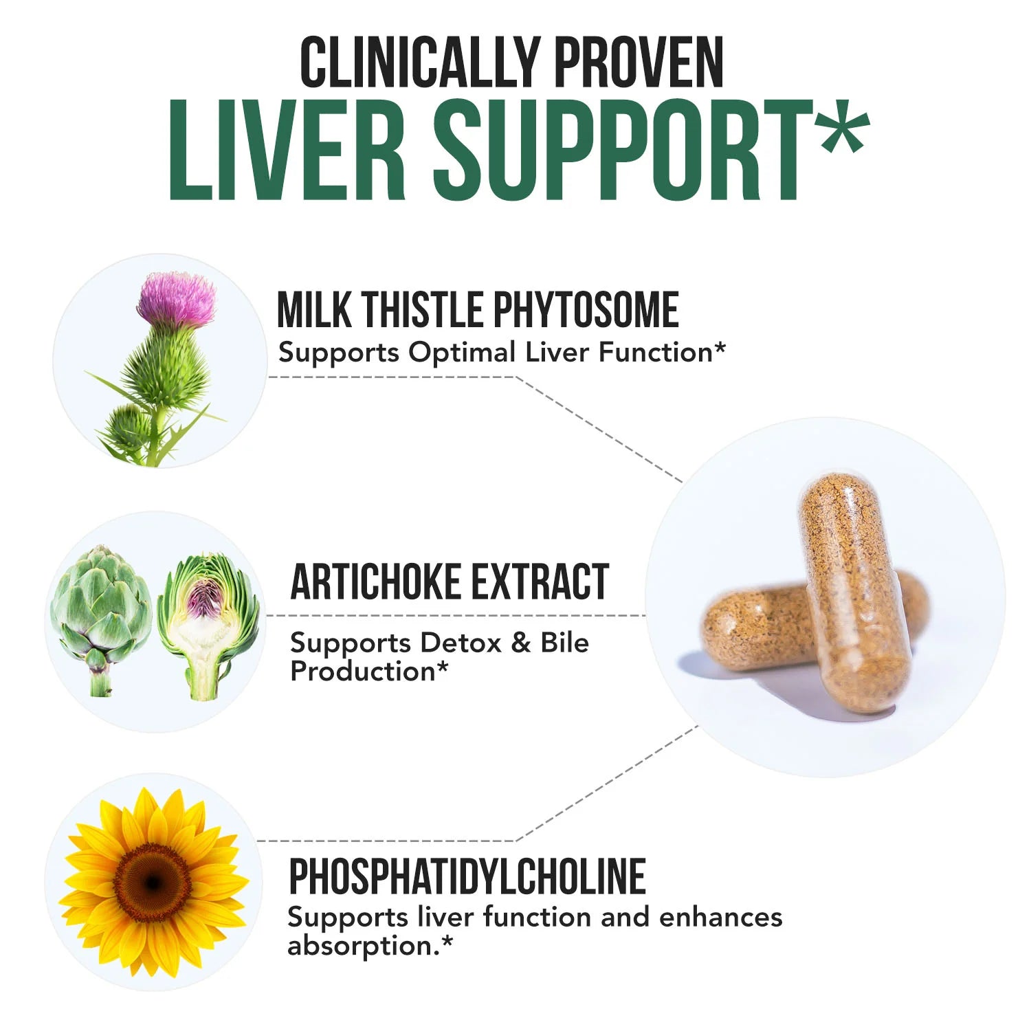 Milk Thistle Plus Artichoke Extract (180 mg+ 320 mg) 60 Capsules