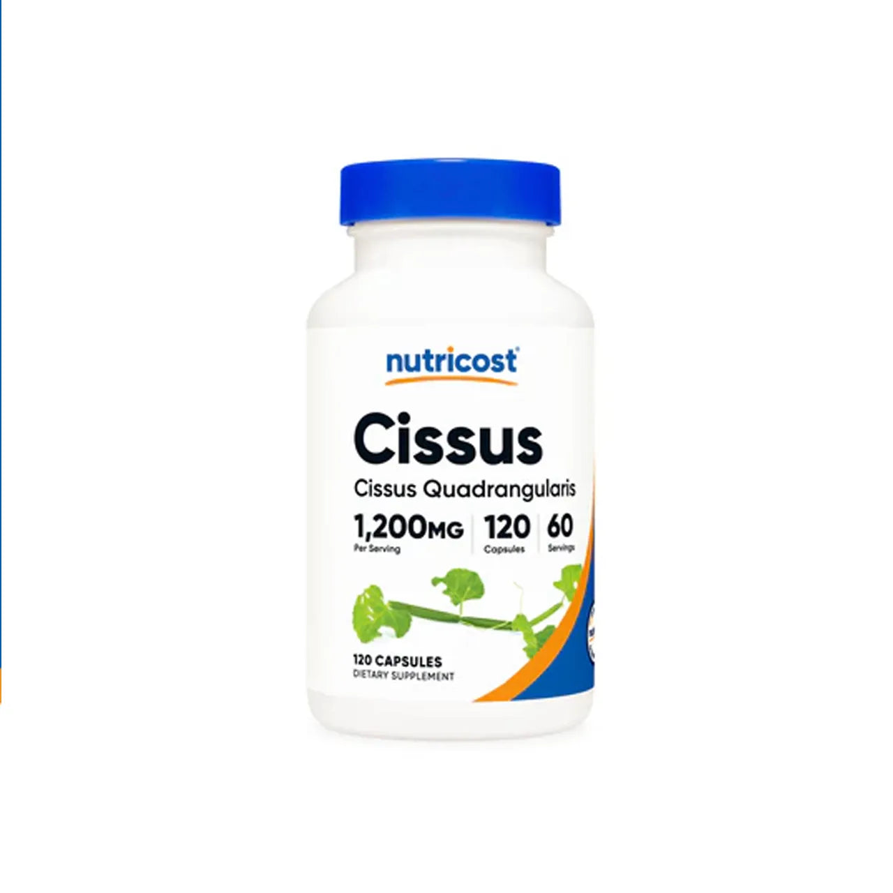 Cissus Quadrangularis 1200 mg 120 Capsules