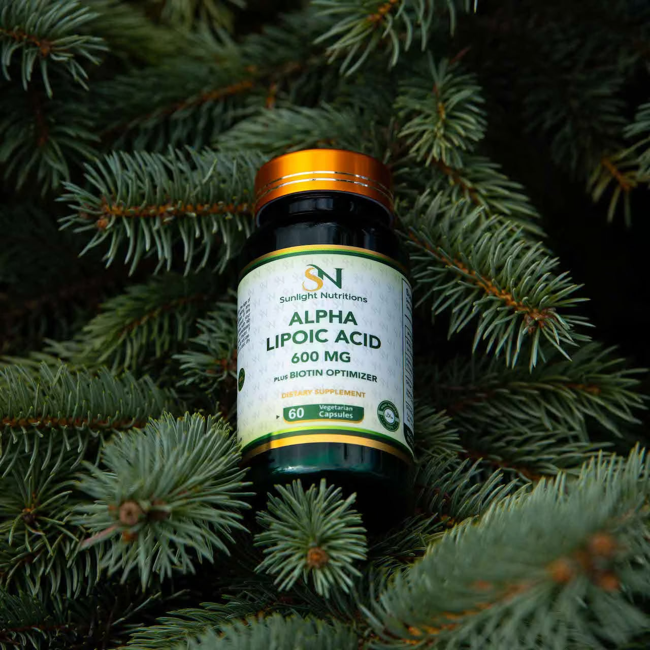 Alpha Lipoic Acid 600 mg 60 Capsules