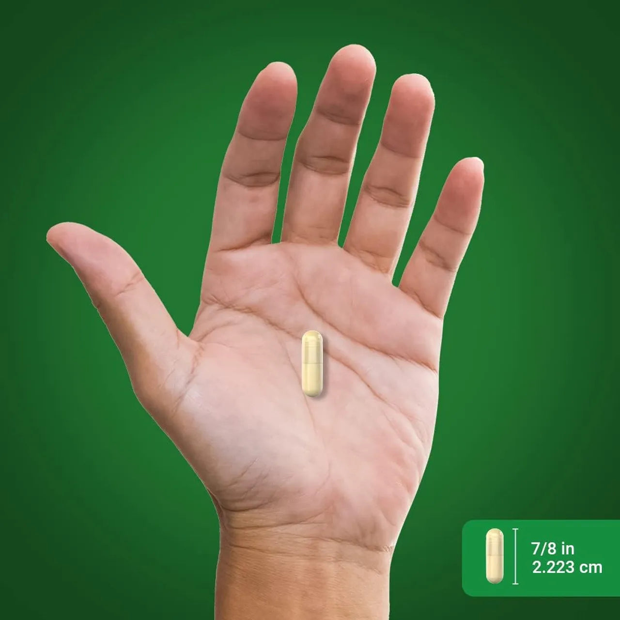 Artichoke Leaf 8000 mg 200 Capsules