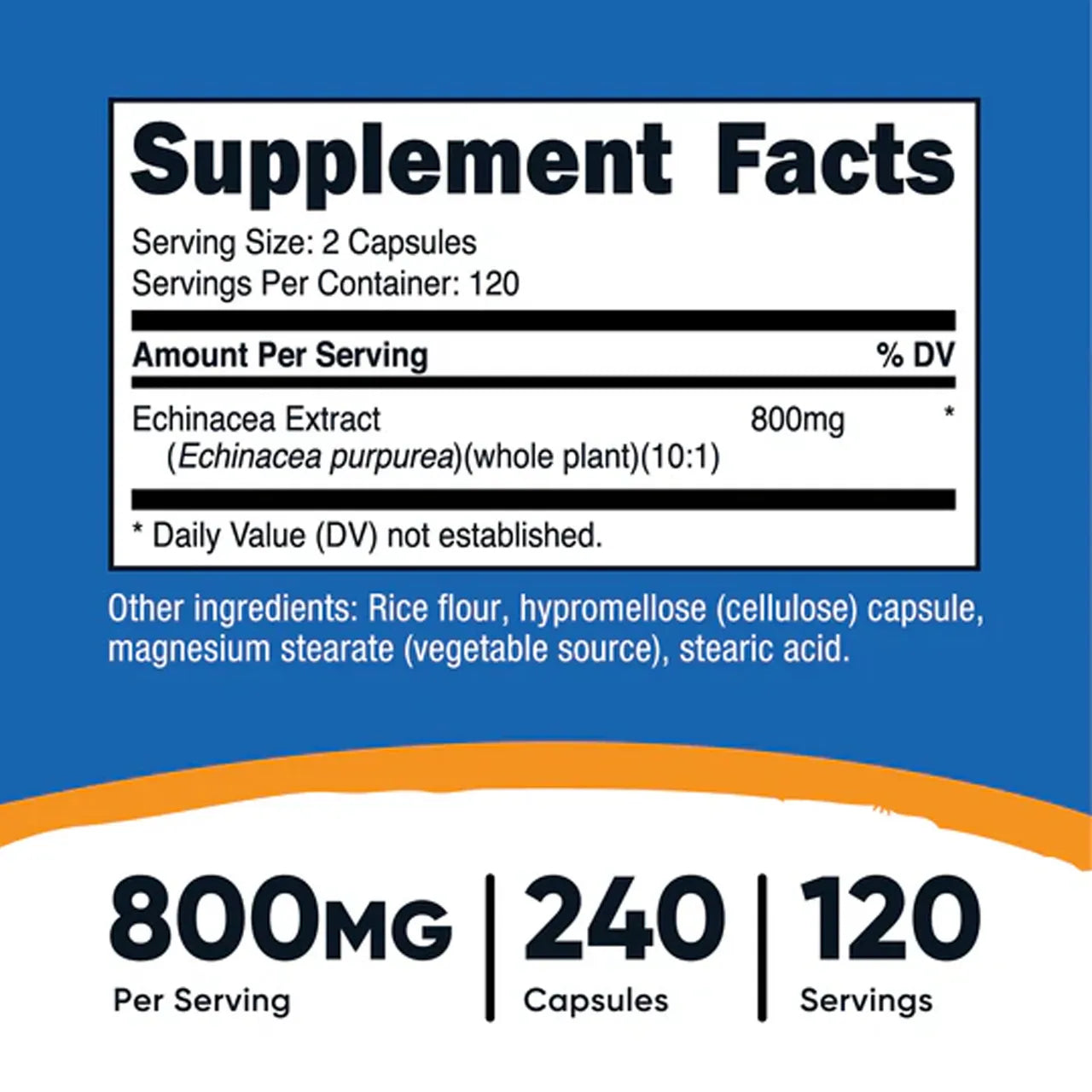 Echinacea 800 mg 240 Capsules