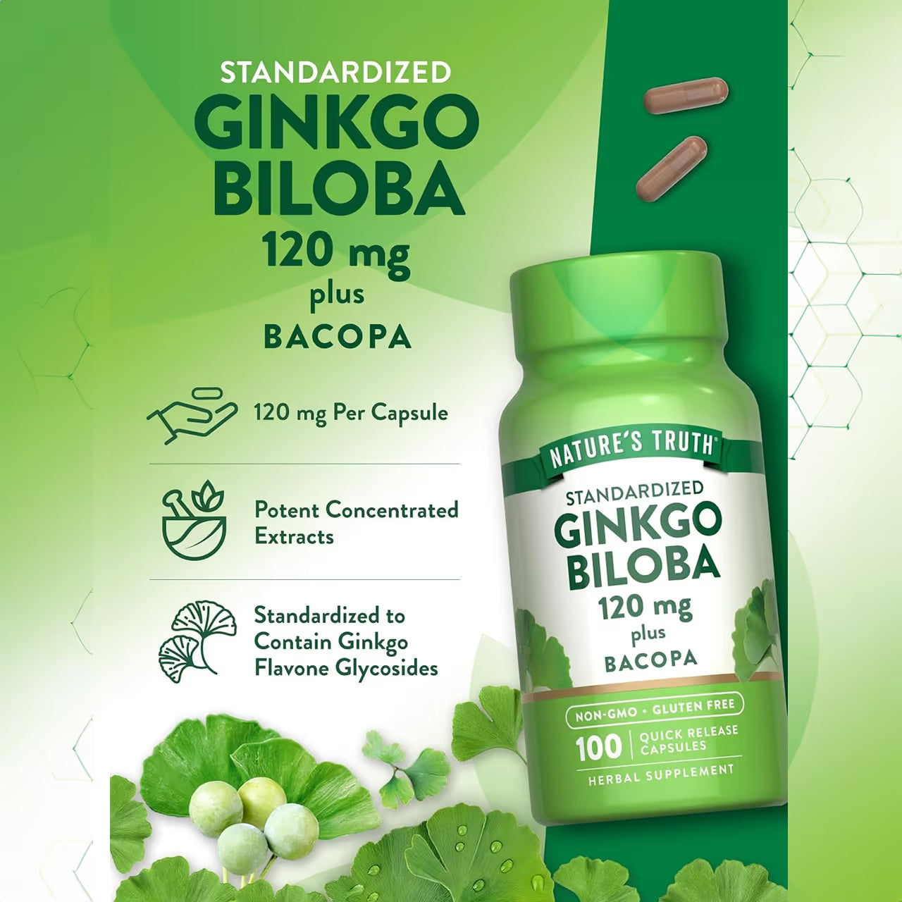 Ginkgo Biloba 120 mg 100 Capsules