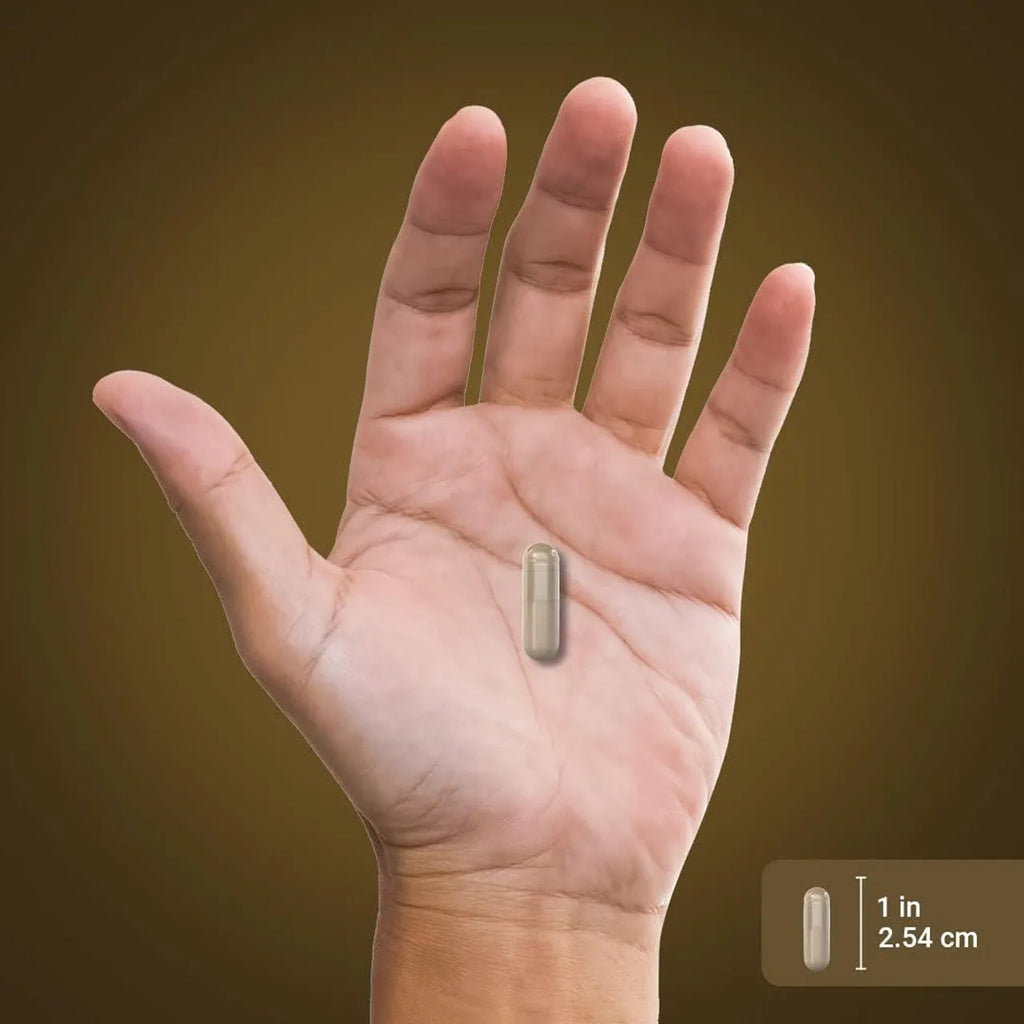 كبسولات Lion's Mane 2100 ملغ 90 كبسولة