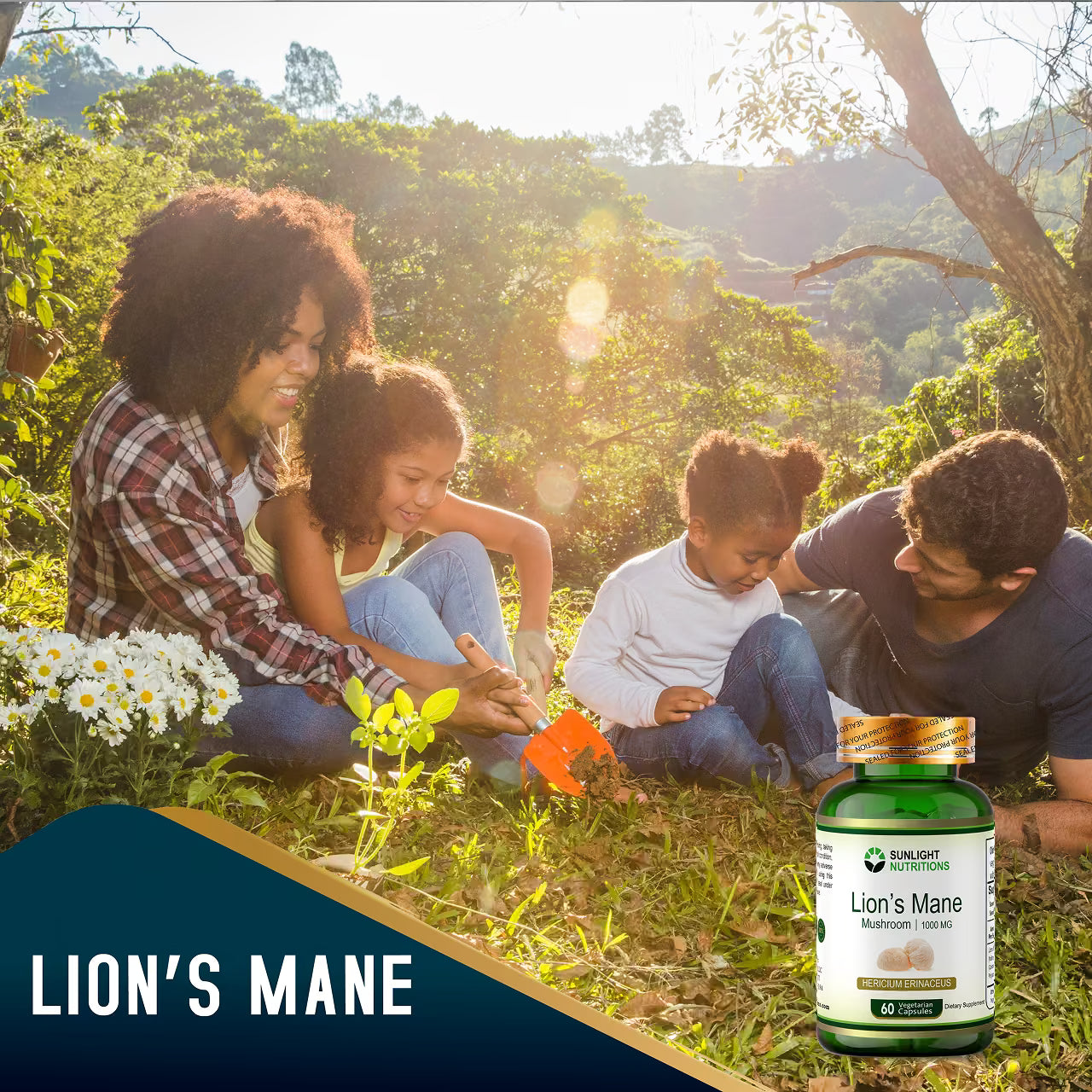 Lion's Mane 1000 mg 60 Capsules